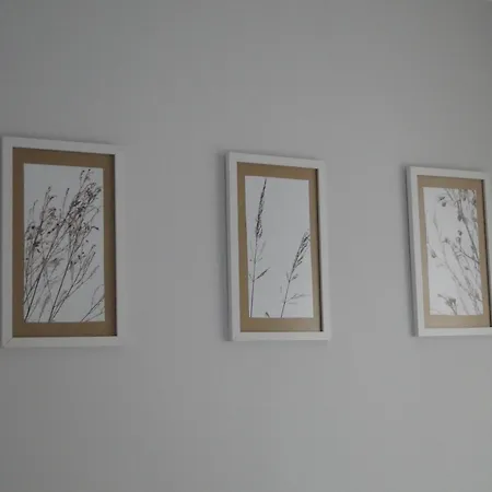 W Centrum Starego Miasta 2 Appartamento